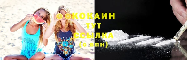 ALPHA-PVP Няндома