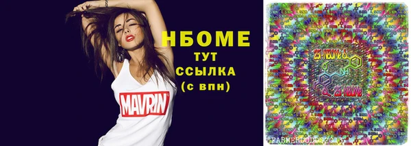 хмурый Новозыбков