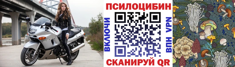 Псилоцибиновые грибы MAGIC MUSHROOMS  Карачев 