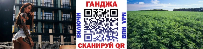 Бошки марихуана THC 21%  наркошоп  ссылка на мегу маркетплейс  Карачев 